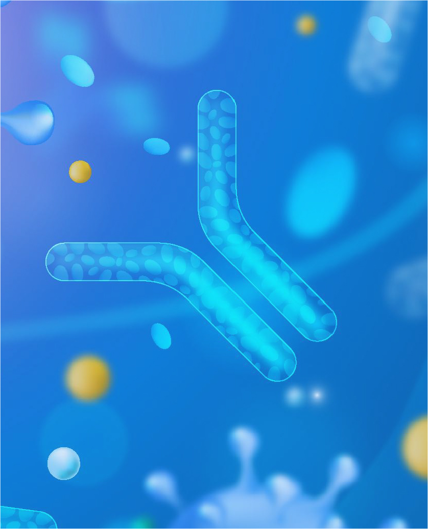 Antibody customization services, showcasing laboratory antibody research and development scenarios