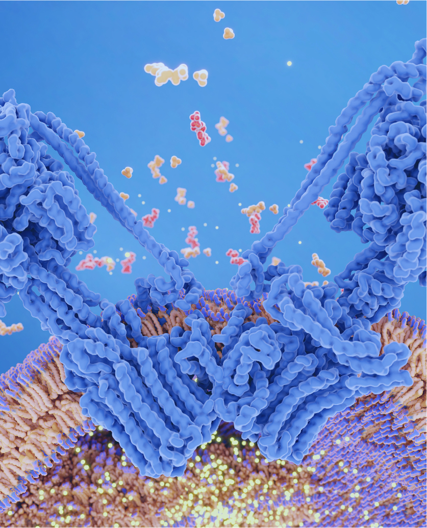 Protein expression services, showcasing protein purification experiments