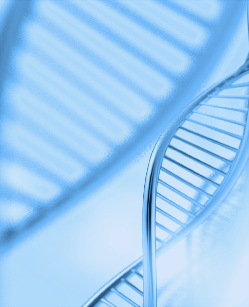 Custom service cases, showcasing experimental data and results