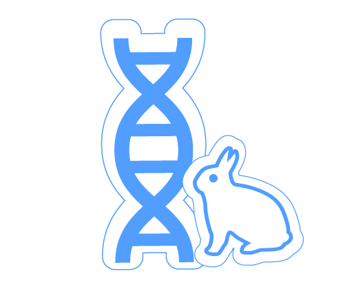 Recombinant Rabbit Monoclonal Antibodies