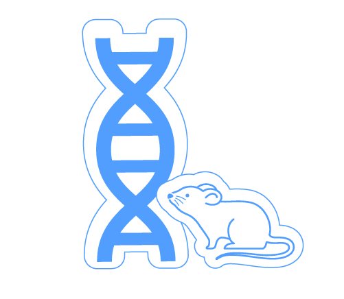 Recombinant Mouse Monoclonal Antibodies
