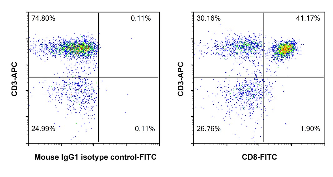 FITC Conjugated Human CD8 alpha Recombinant Mouse Monoclonal Antibody