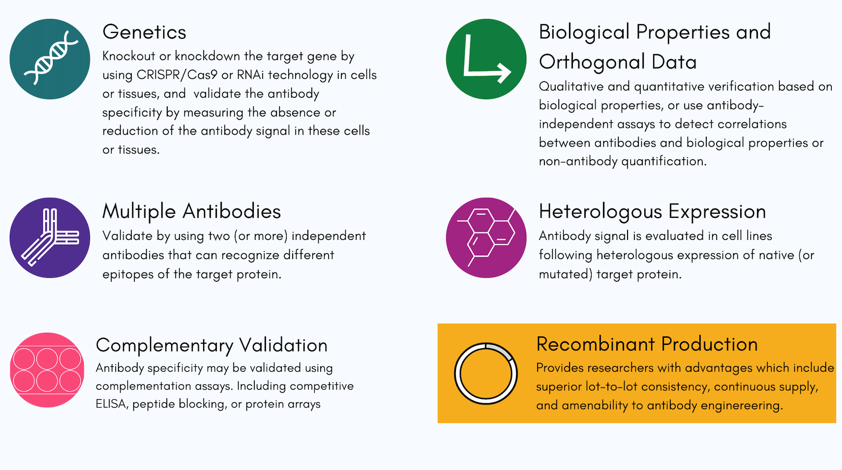 HUABIO 5+1 Antibody Validation Strategy: Genetics, Biological Properties and Orthogonal Data, Multiple Antibodies, Heterologous Expression, Complementary Validation, Recombinant Production