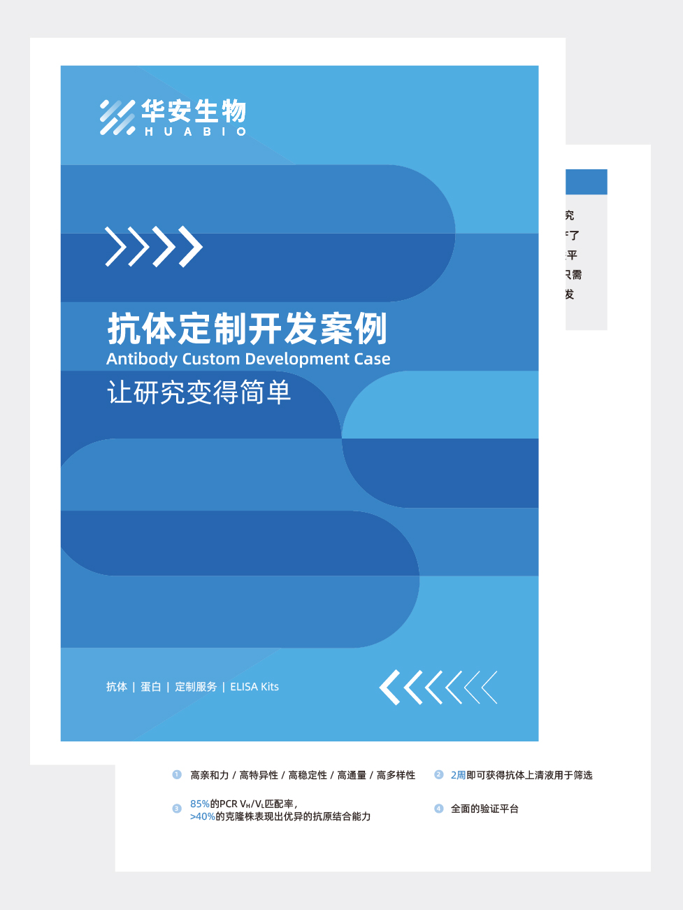 抗体定制开发案例