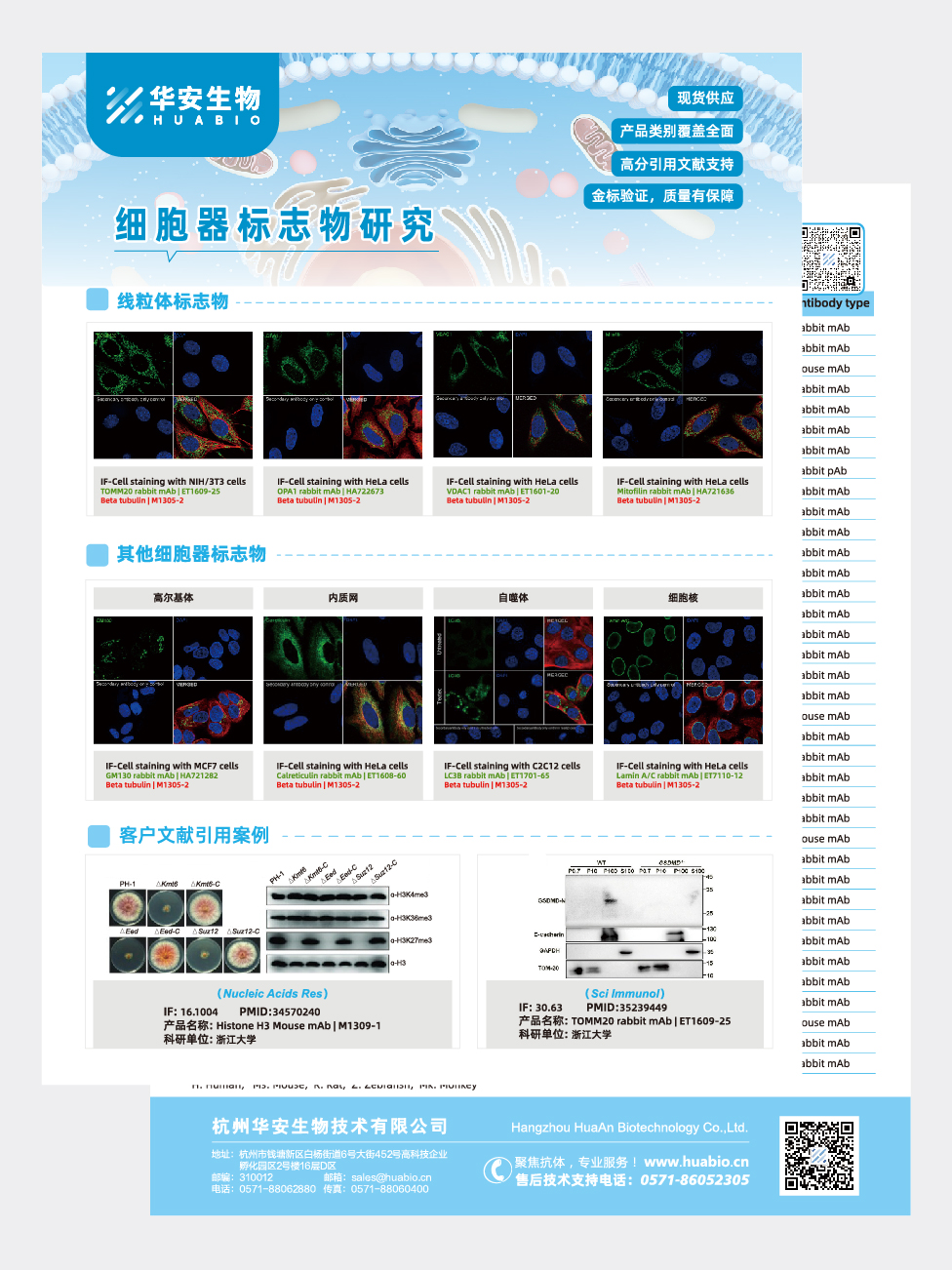 细胞器标志物研究