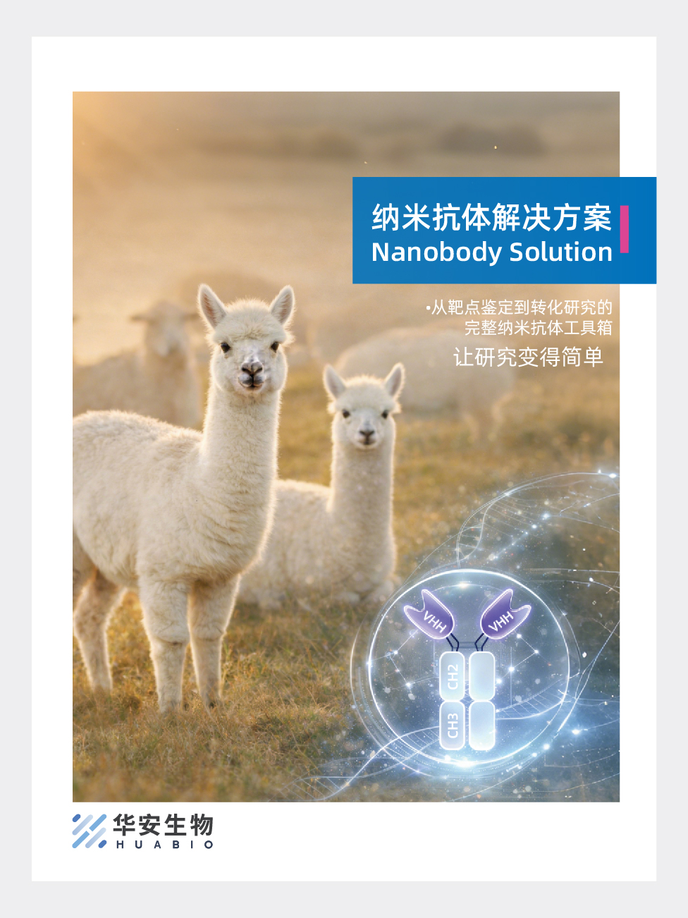 纳米抗体解决方案