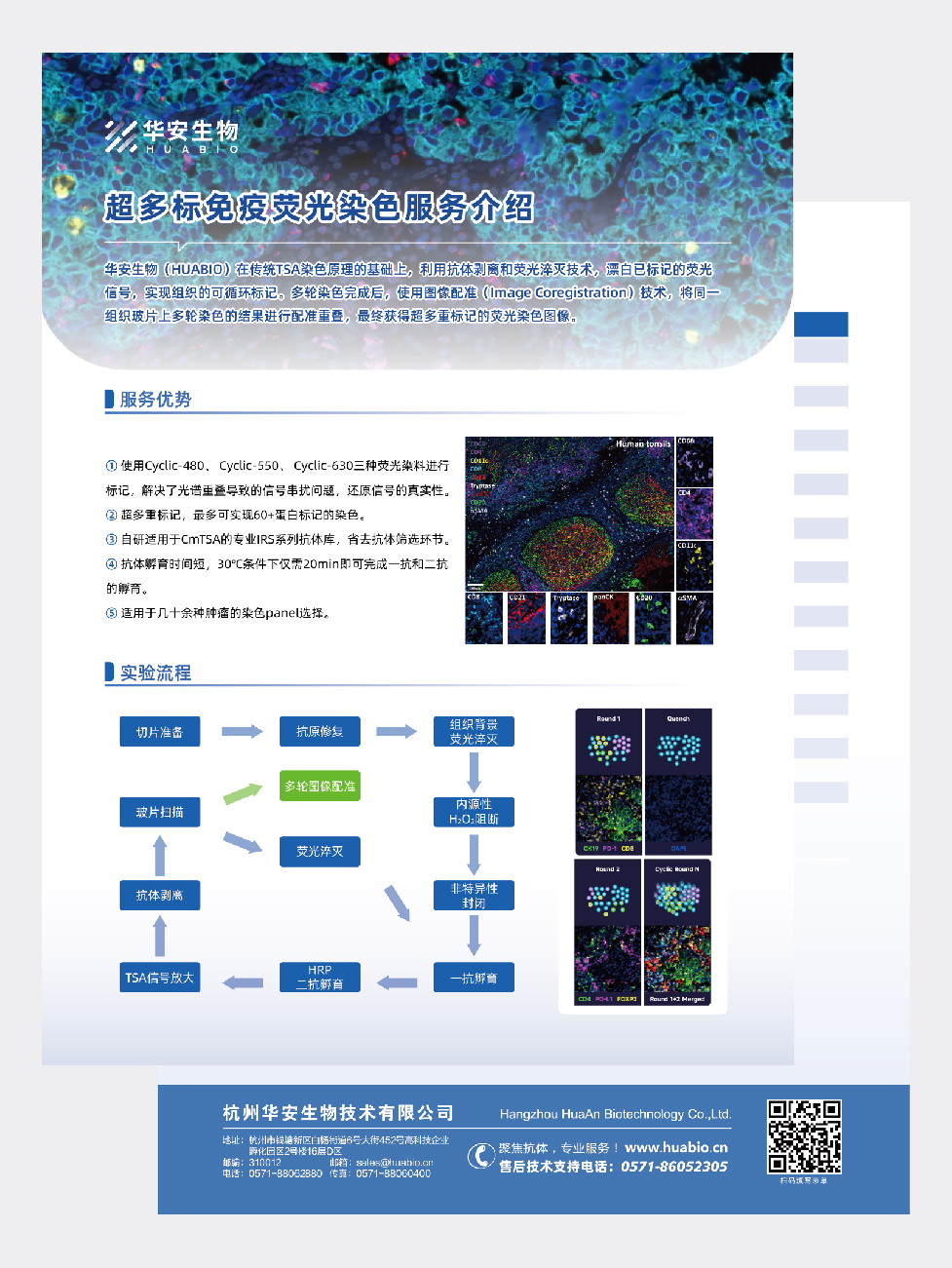 超多标免疫荧光染色服务介绍