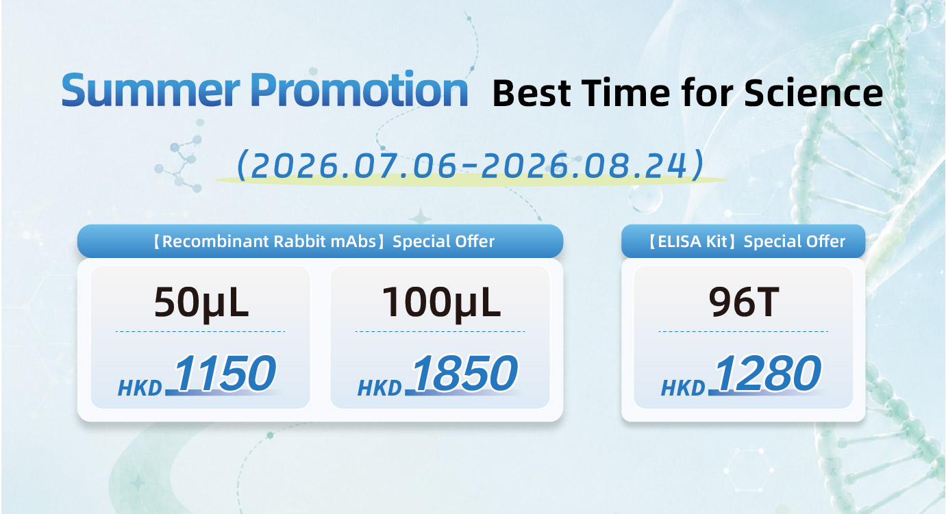 Summer Promotion.jpg