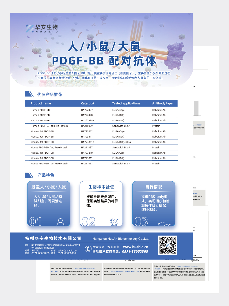 人/小鼠/大鼠PDGF-BB 配对抗体