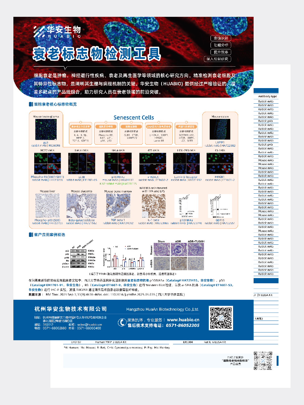 细胞衰老标志物检查工具