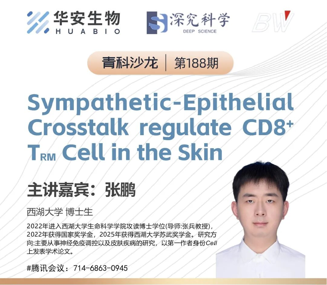 Cibay-i High Bay Light