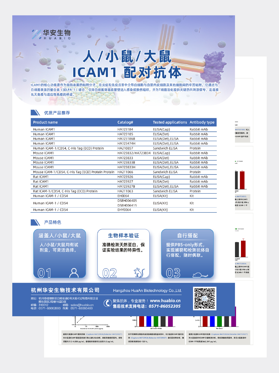 人/小鼠/大鼠ICAM1配对抗体