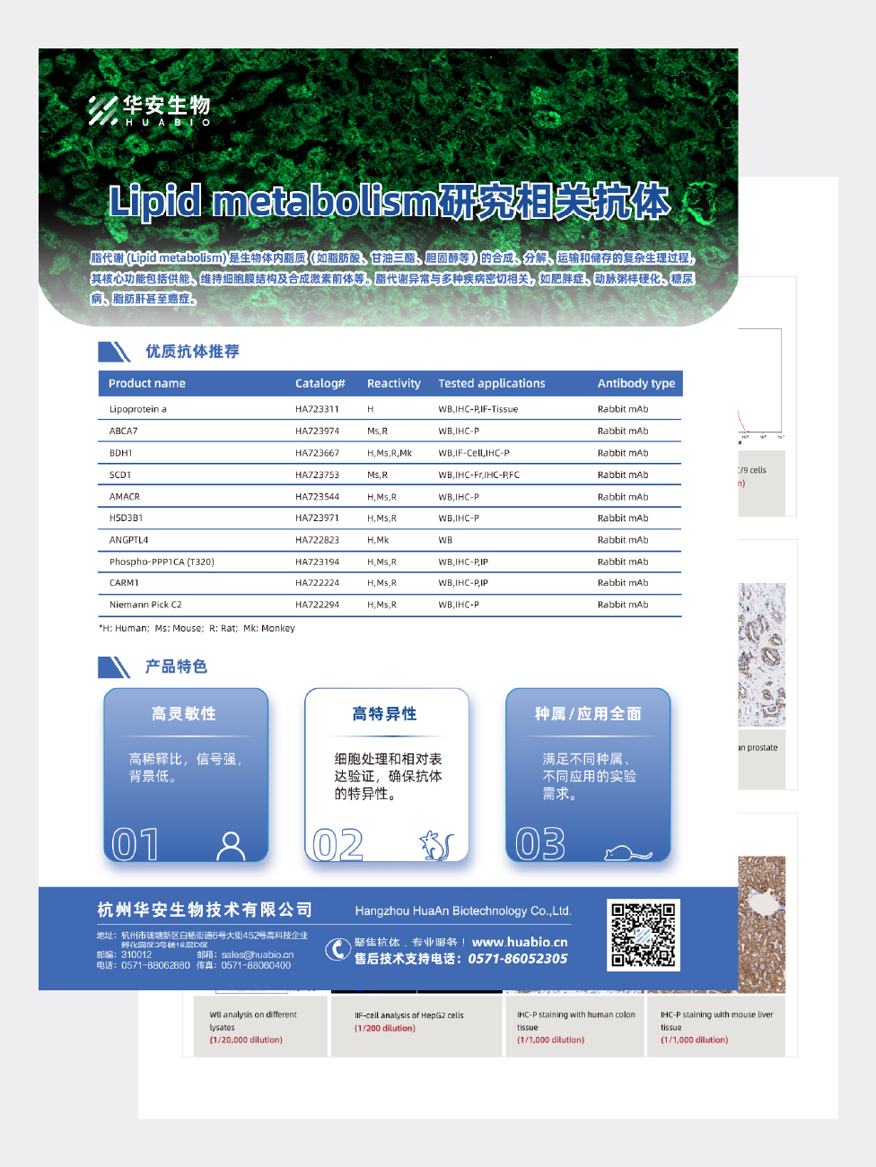 Lipid metabolism研究相关抗体