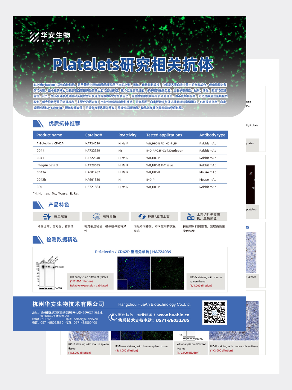 Platelets研究相关抗体