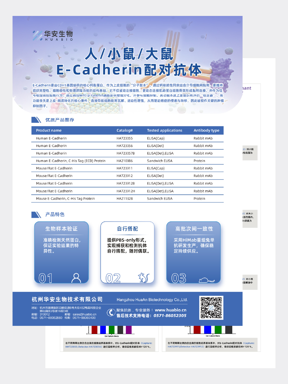 人/小鼠/大鼠E-Cadherin配对抗体