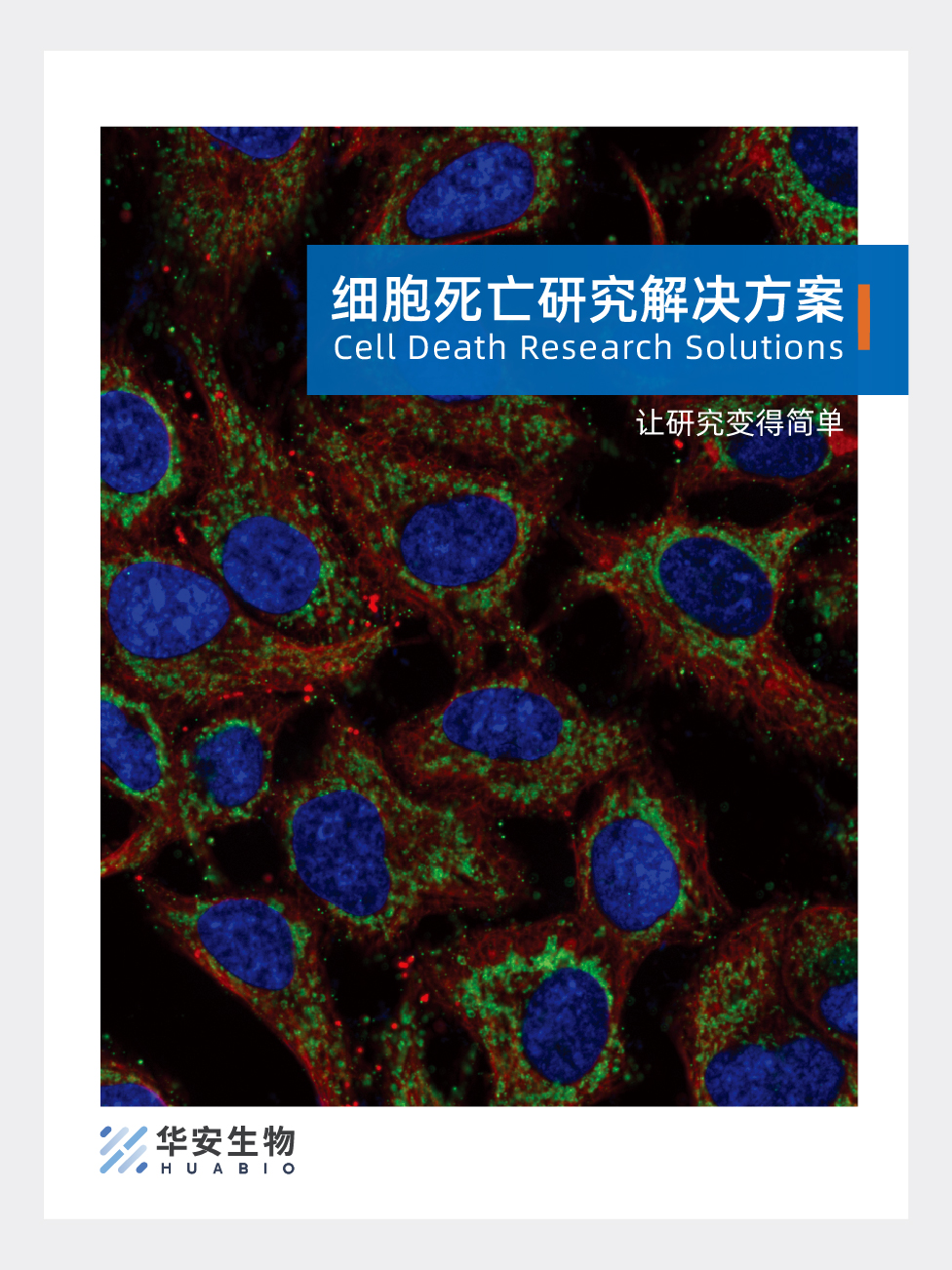 细胞死亡研究解决方案