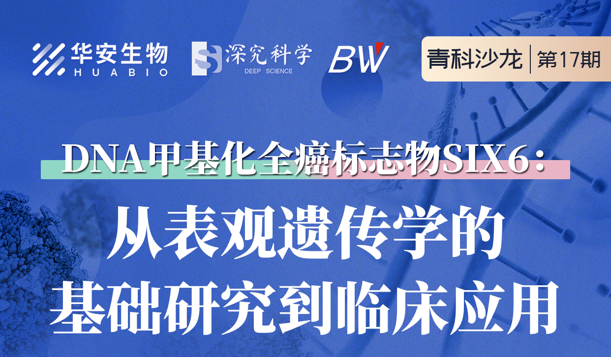 Cibay-i High Bay Light