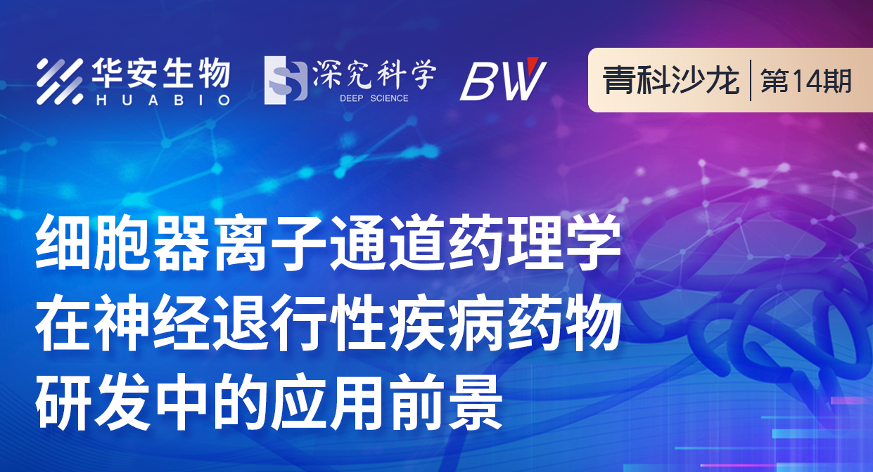 Cibay-i High Bay Light