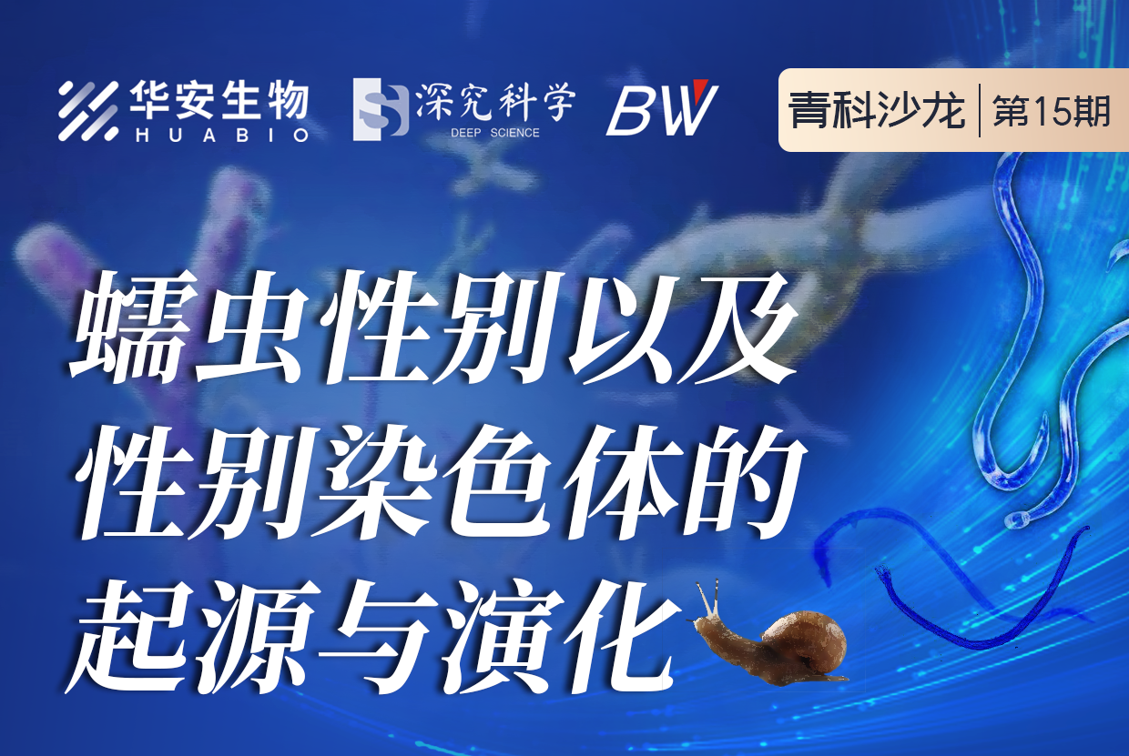 Cibay-i High Bay Light