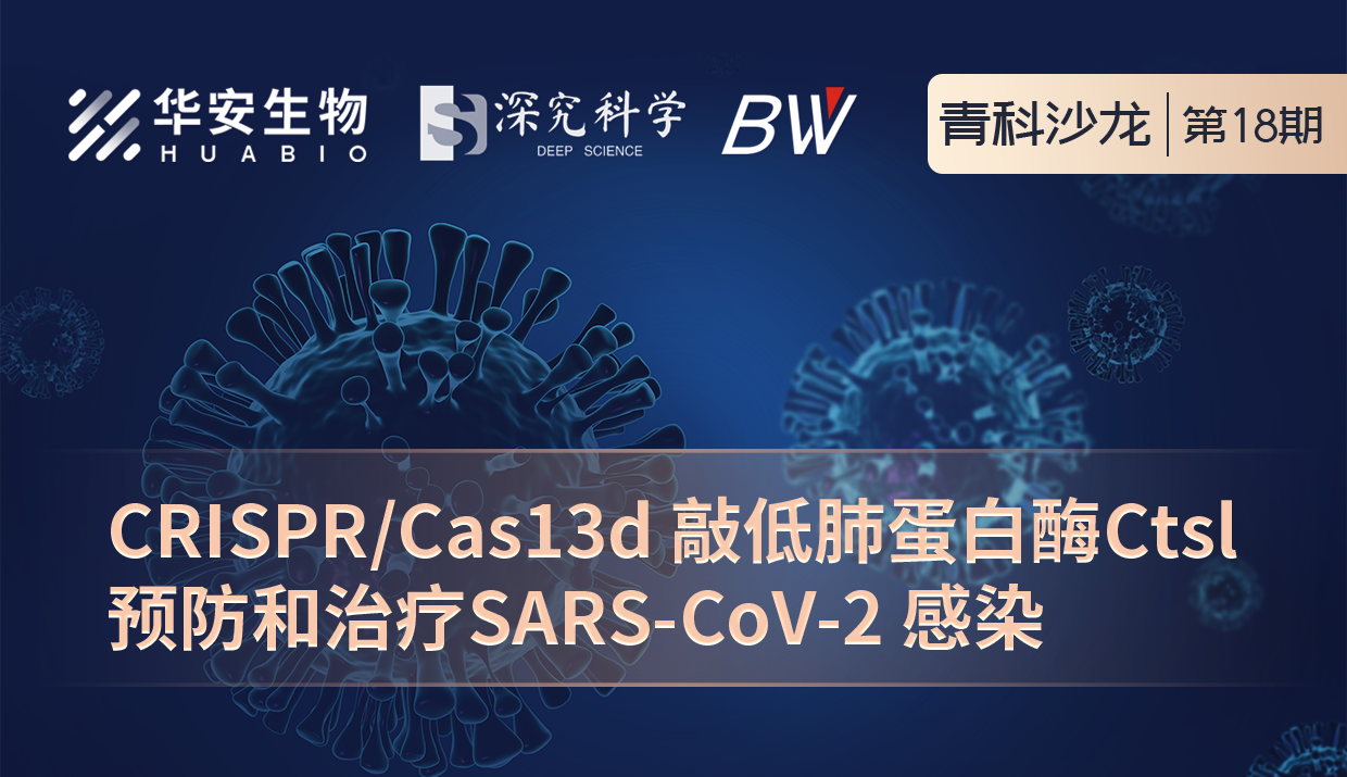 Cibay-i High Bay Light