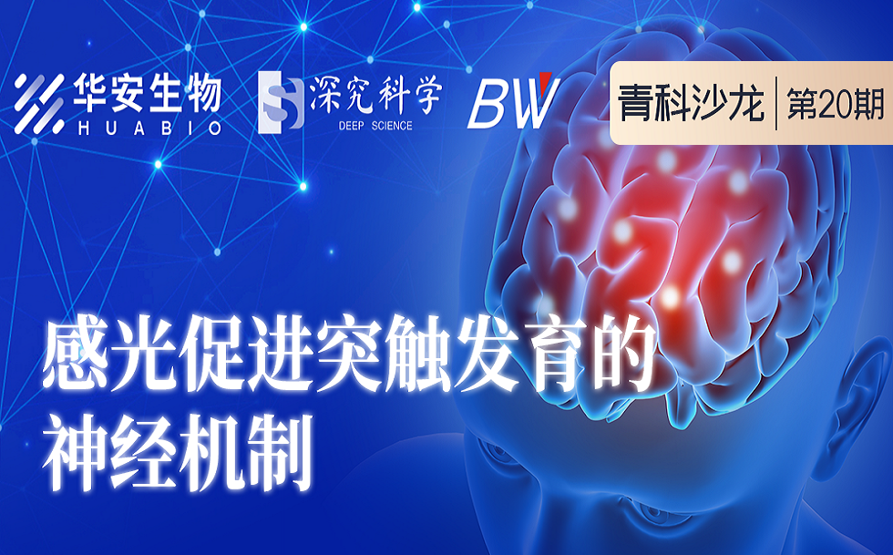 Cibay-i High Bay Light