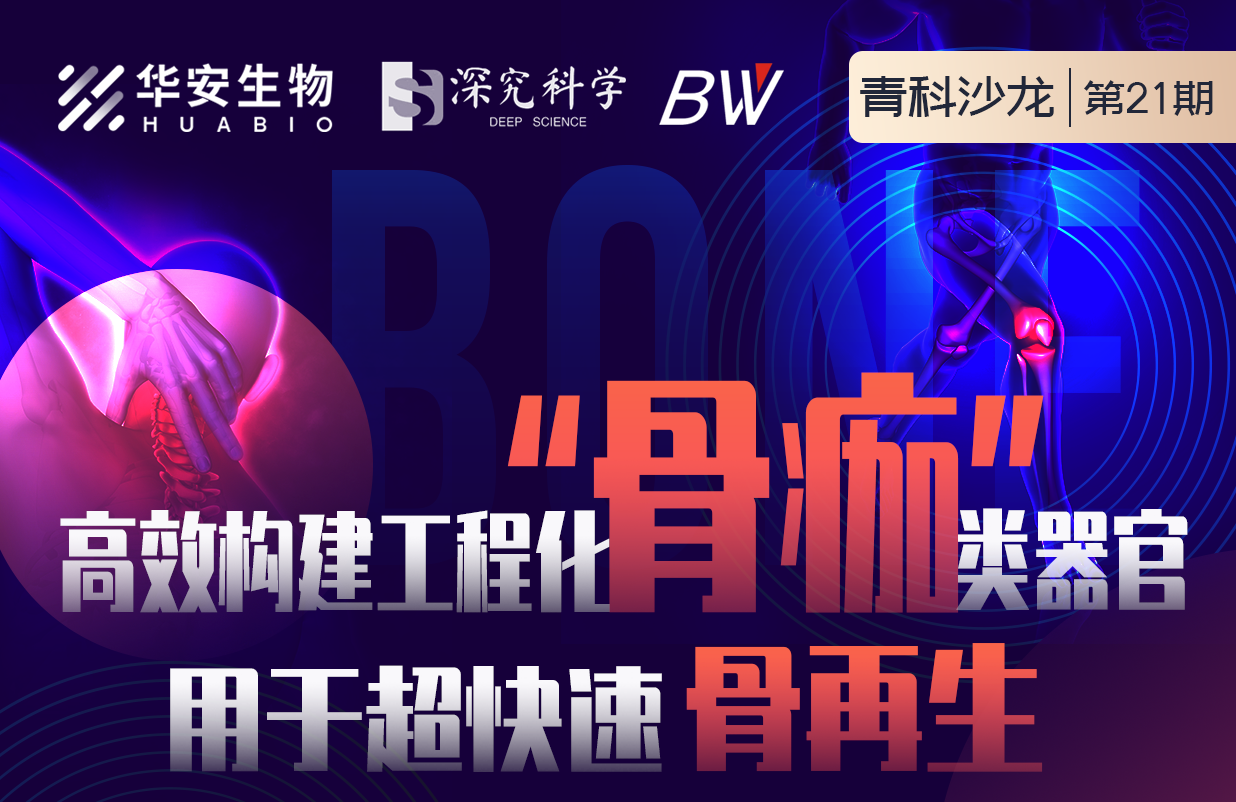 Cibay-i High Bay Light