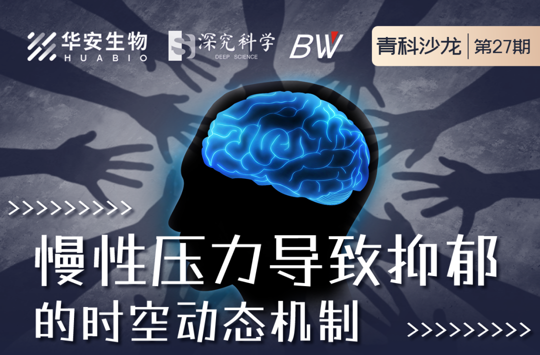 Cibay-i High Bay Light