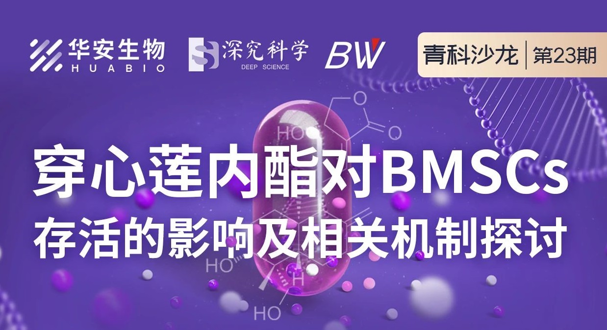 Cibay-i High Bay Light