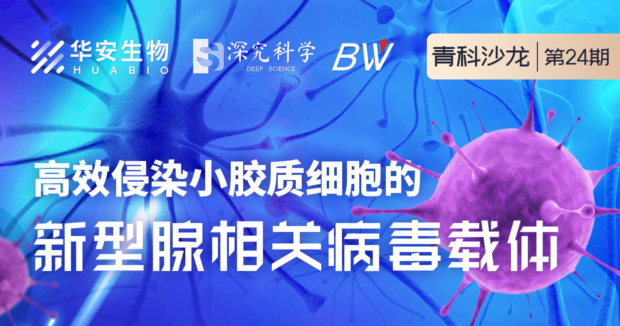 Cibay-i High Bay Light