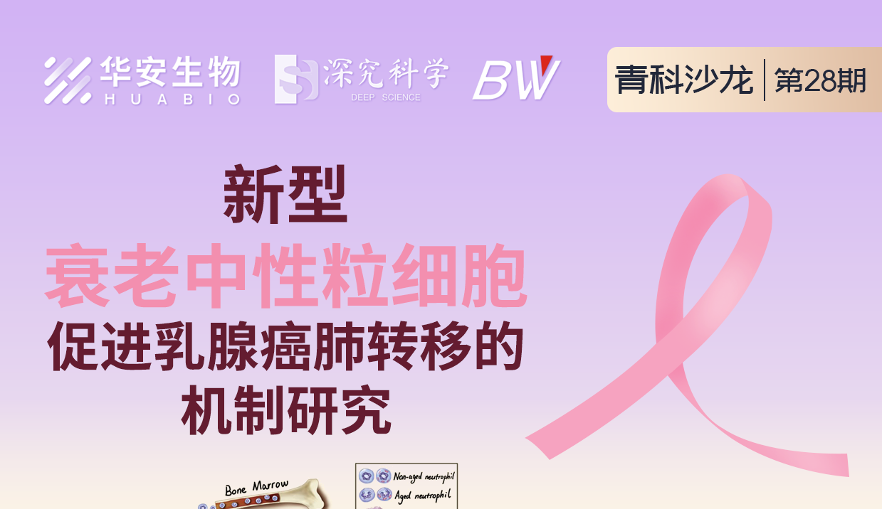 Cibay-i High Bay Light