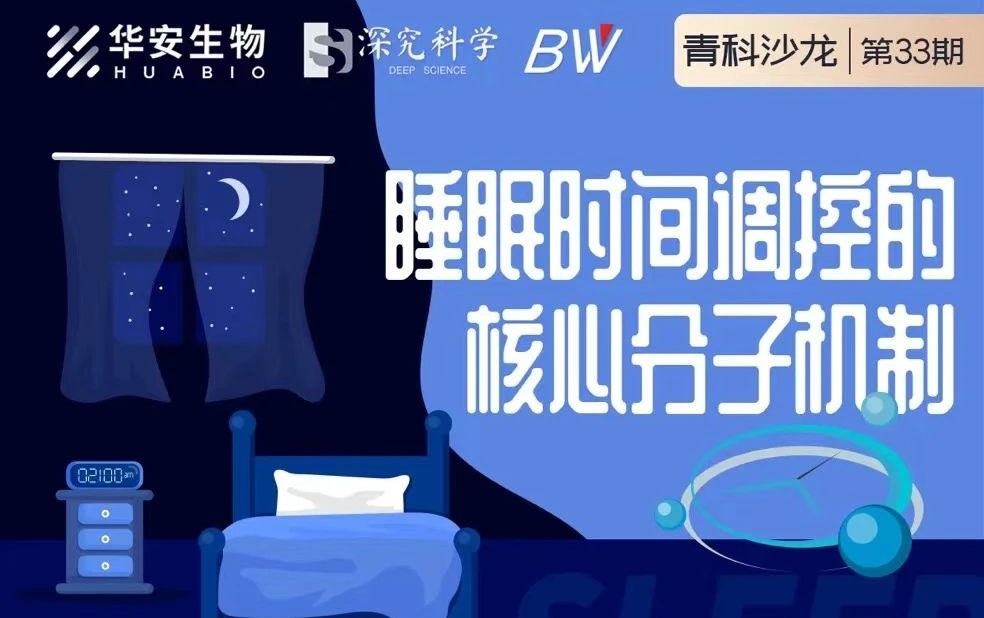 Cibay-i High Bay Light