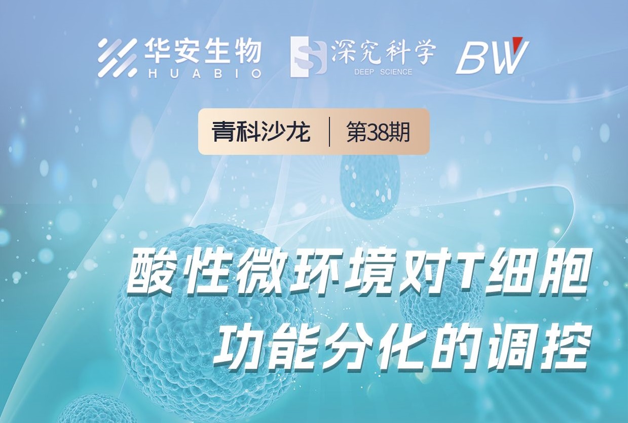 Cibay-i High Bay Light