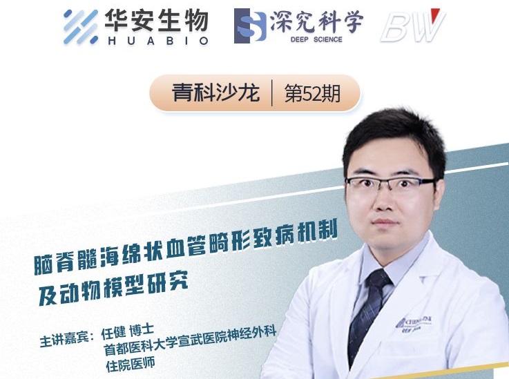 Cibay-i High Bay Light