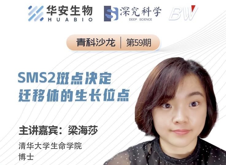 Cibay-i High Bay Light