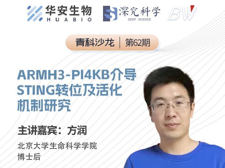 Cibay-i High Bay Light