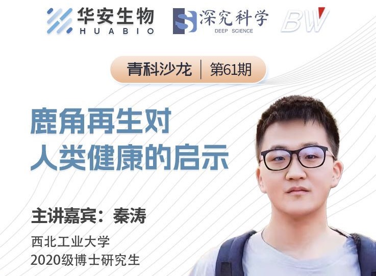 Cibay-i High Bay Light