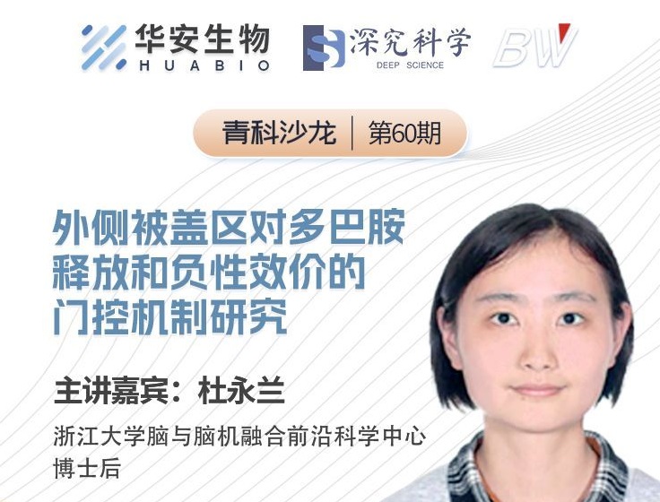 Cibay-i High Bay Light