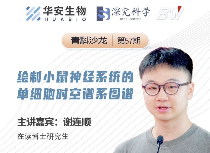 Cibay-i High Bay Light