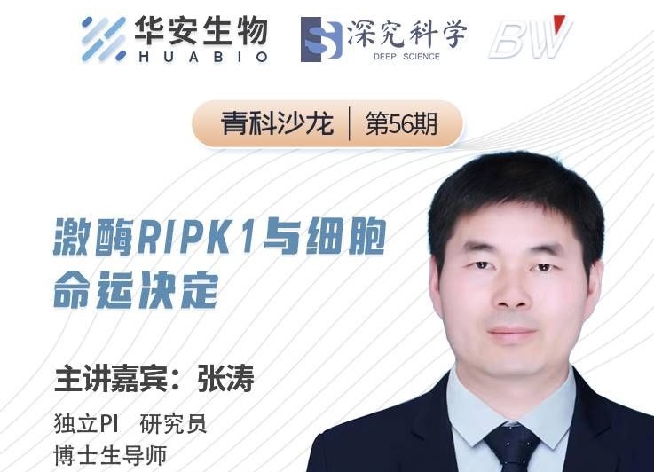 Cibay-i High Bay Light