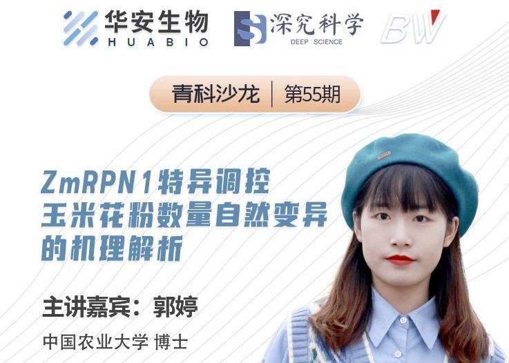 Cibay-i High Bay Light