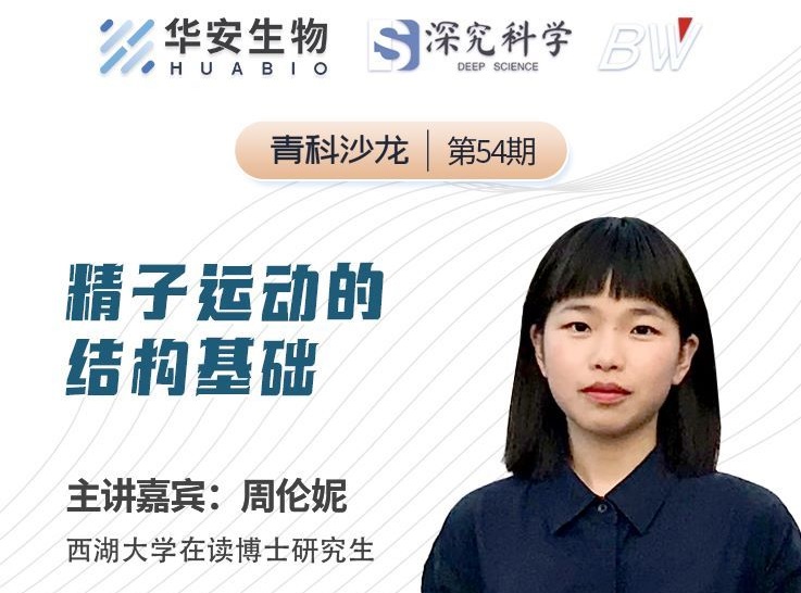 Cibay-i High Bay Light