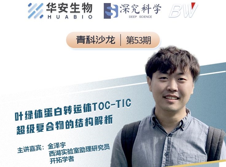 Cibay-i High Bay Light