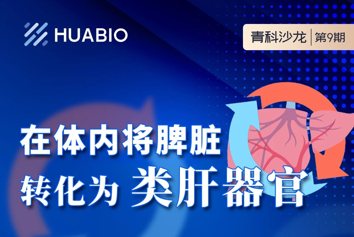 Cibay-i High Bay Light