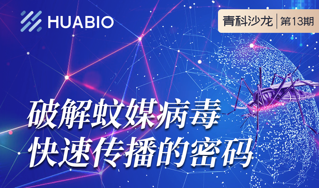 Cibay-i High Bay Light