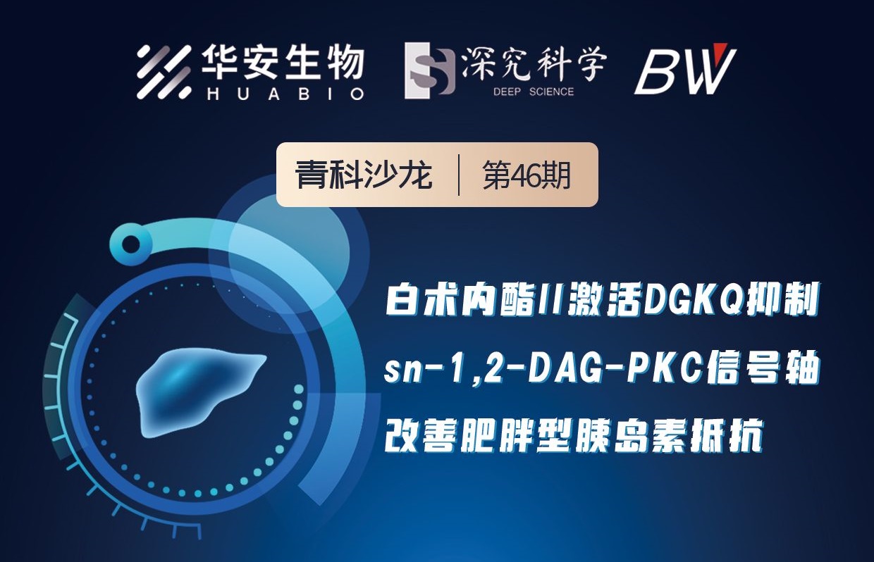 Cibay-i High Bay Light