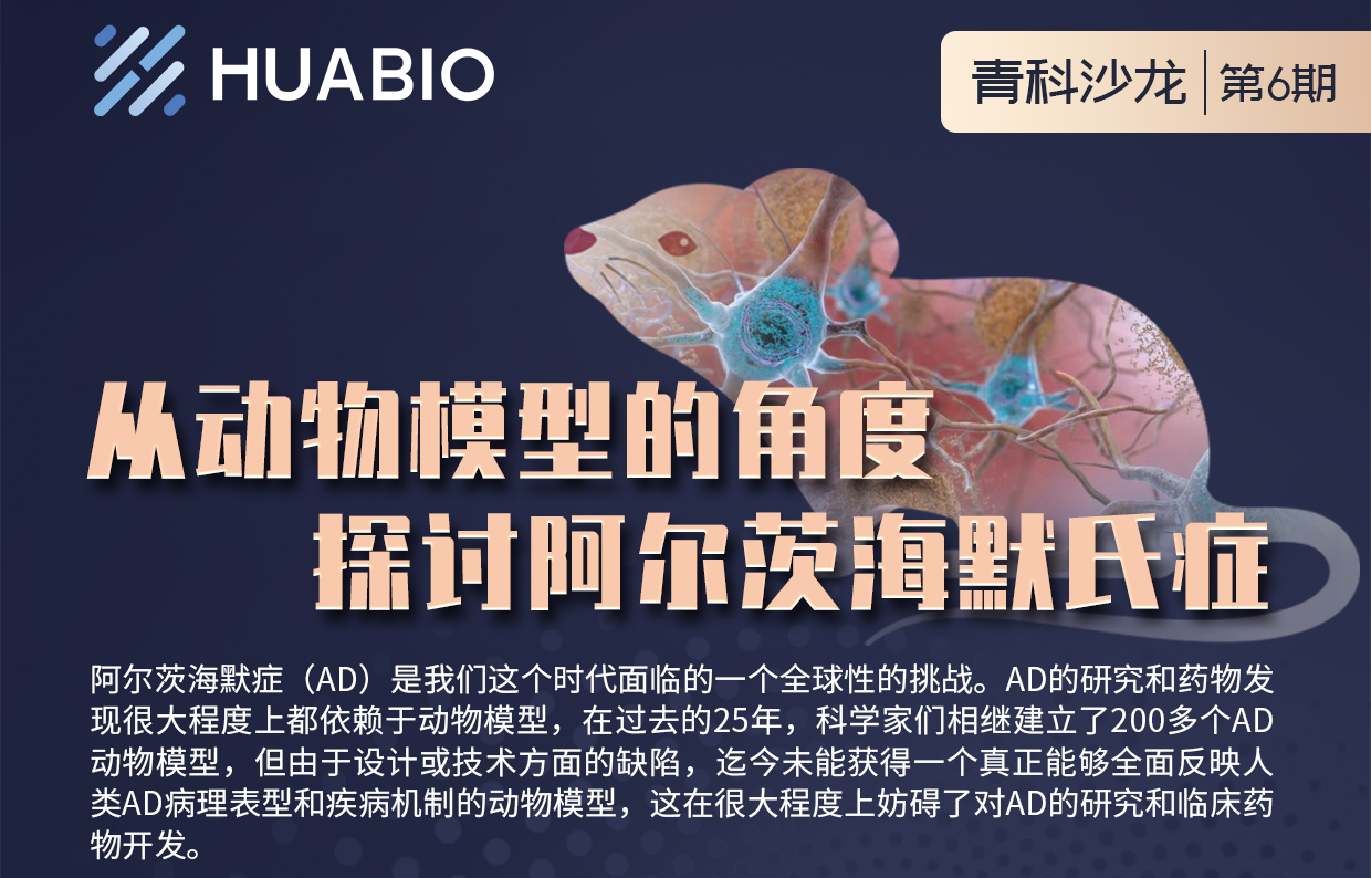 Cibay-i High Bay Light