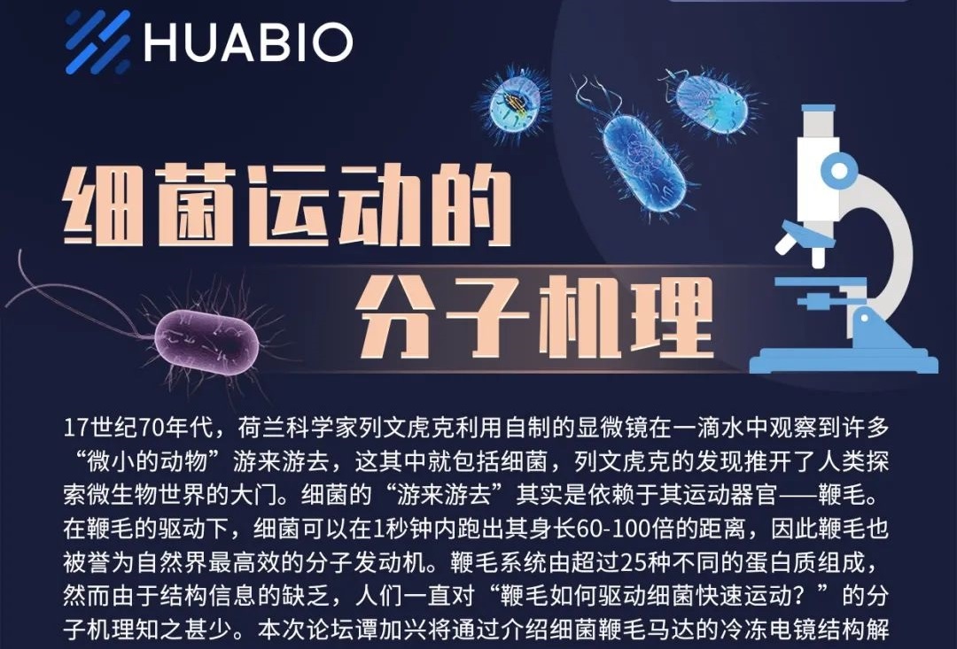 Cibay-i High Bay Light