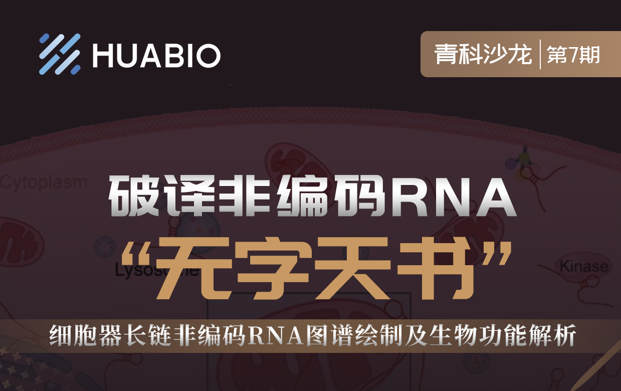 Cibay-i High Bay Light