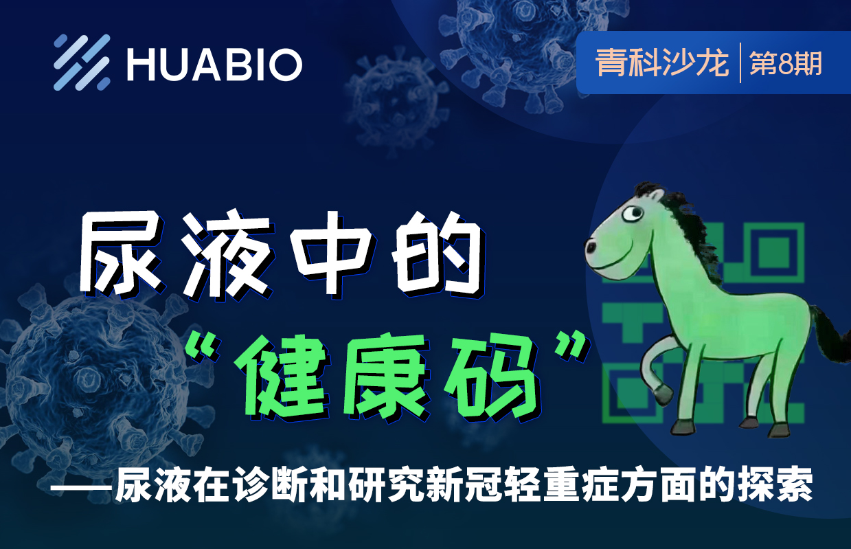 Cibay-i High Bay Light