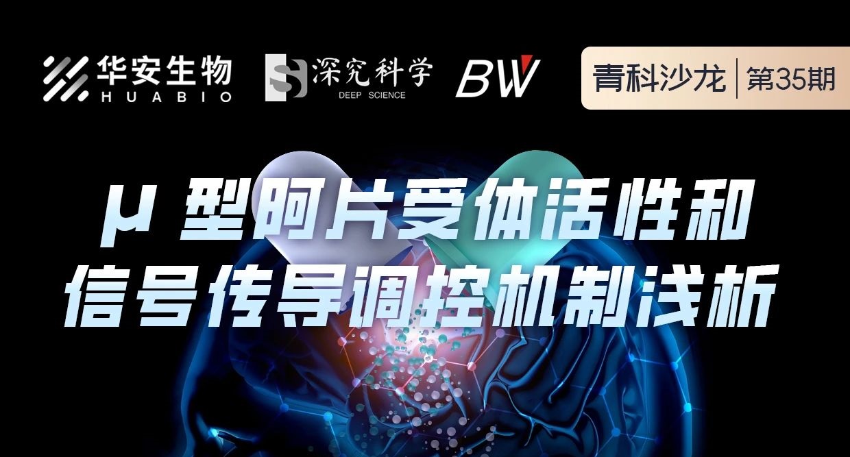 Cibay-i High Bay Light